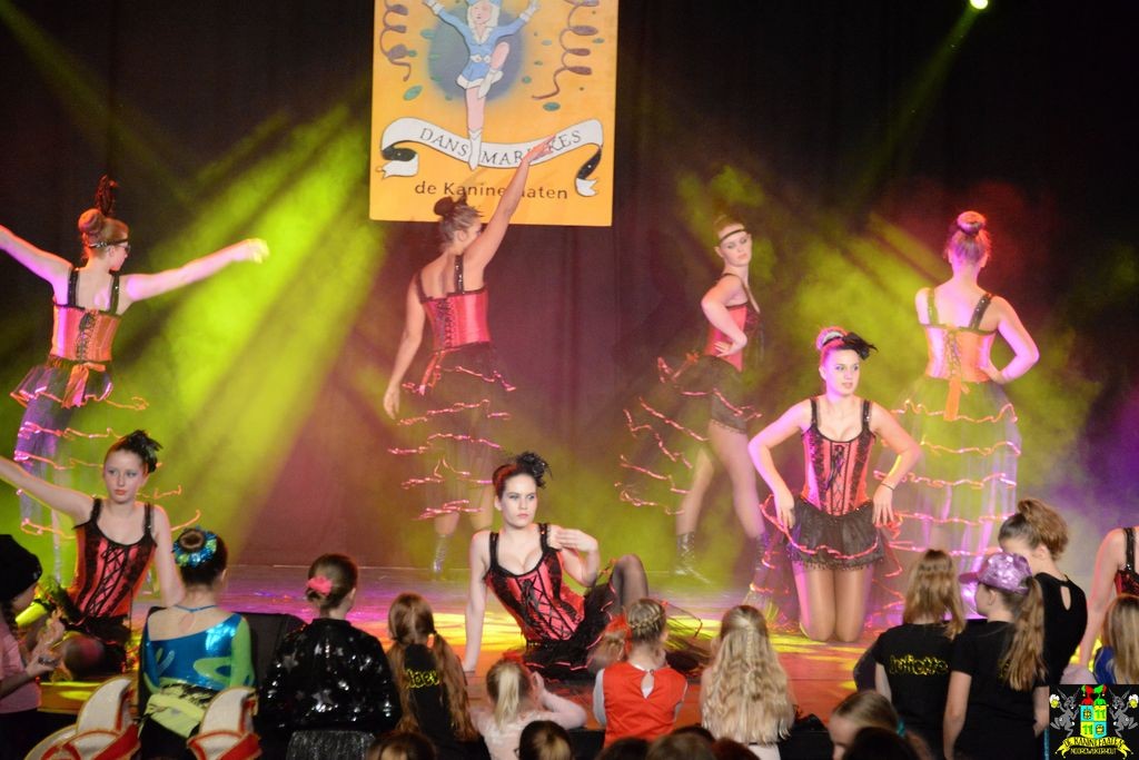 ../Images/Dansmarieke festival 2018 460.jpg